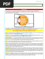 GCSE Eye Structure and Function Guide | PDF | Eye | Retina