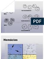 Atlas de Uroanalise