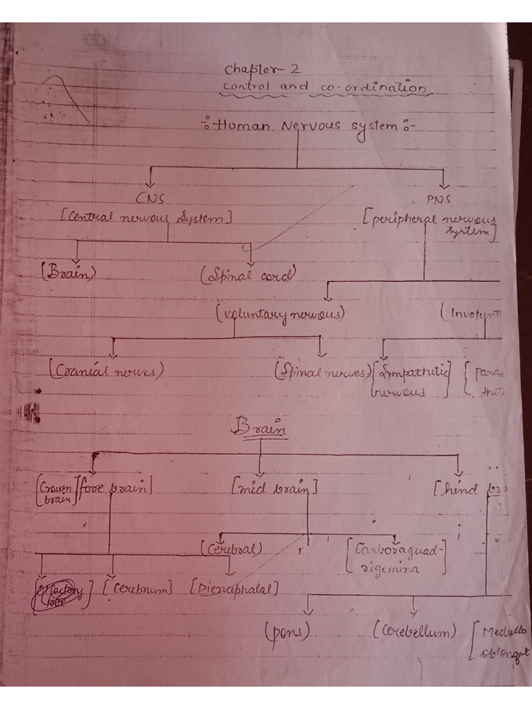 Pdfreader 20241205 1543 Pdf