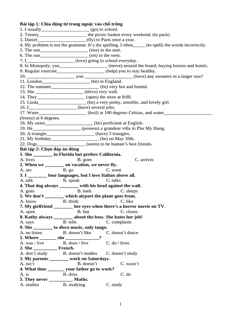 English Verb Exercises for Beginners | PDF