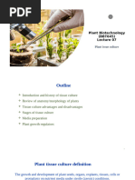 Explant Definition and Types in Tissue Culture | PDF | Cell Potency ...
