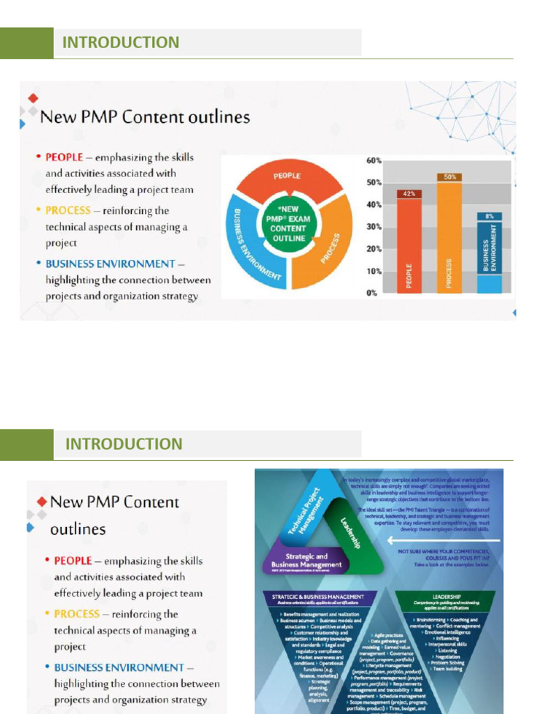 Comprehensive Project Management Guide | PDF | Project Management ...