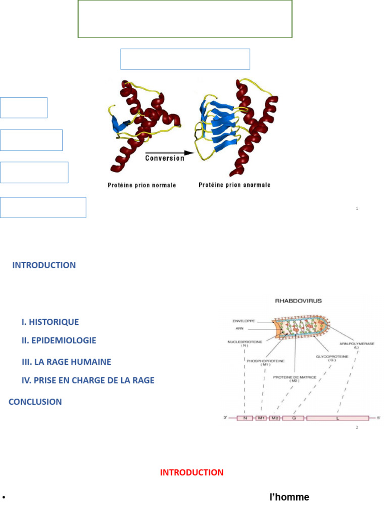 Hydrophobie et prise en charge de la rage | PDF | Rage (maladie ...