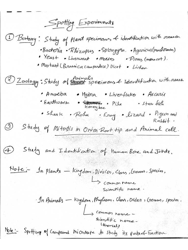 Spotting File Format Data PDF | PDF