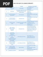 Hip Flexion MMT Grading Guide | PDF