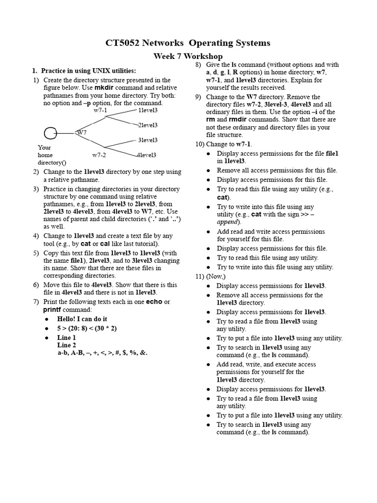 Workshop7.docx 90156 | PDF | Directory (Computing) | System Software
