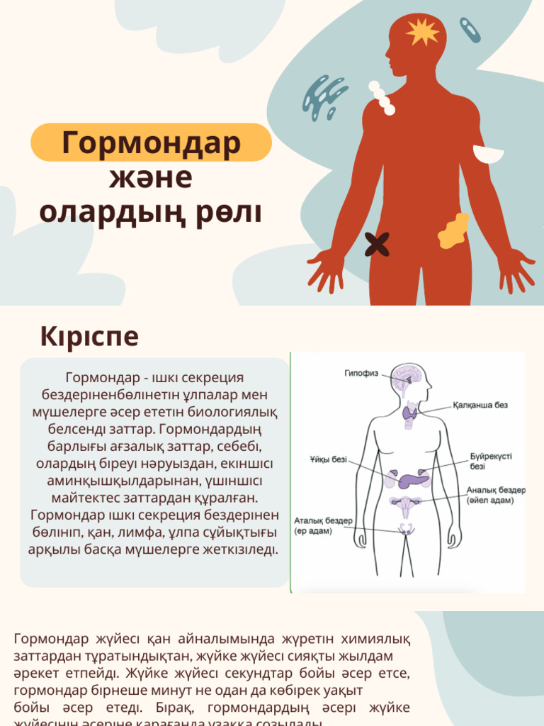 Ертегі порно