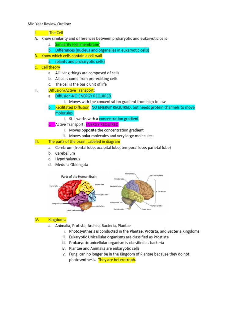 Biology End-of-Year Review Guide | PDF | Translation (Biology) | Rna