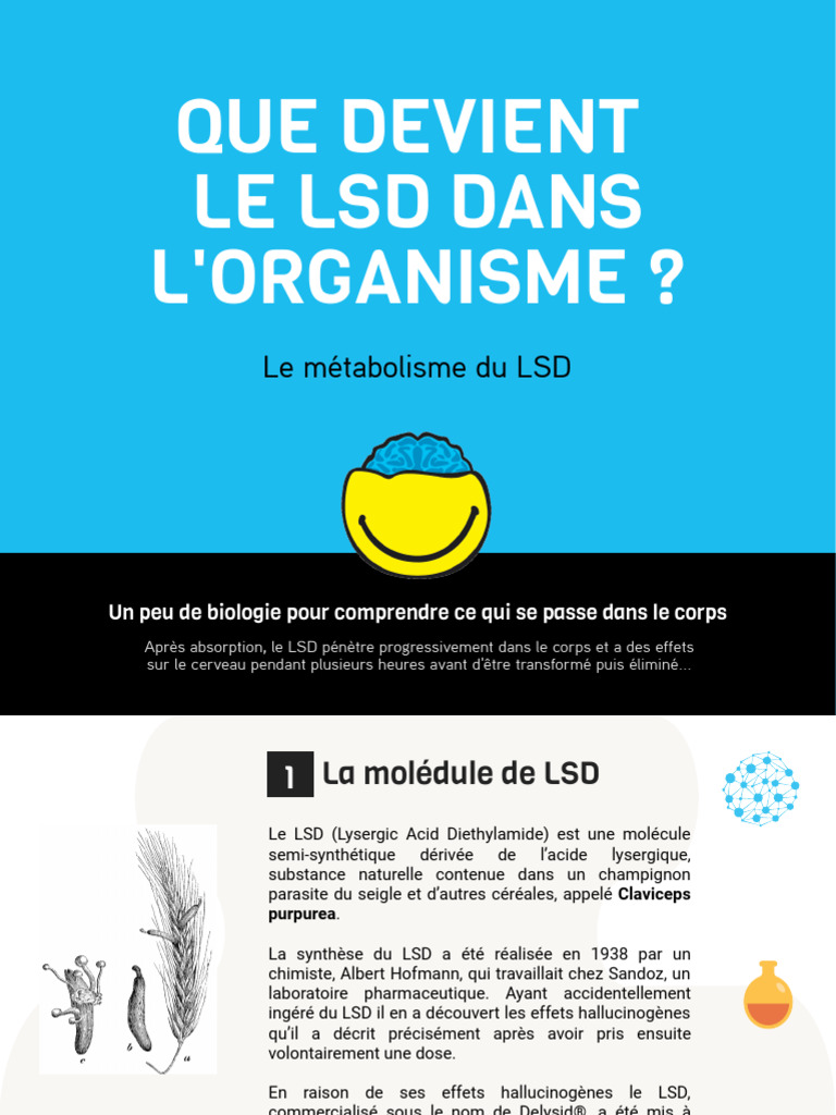 Métabolisme et effets du LSD | PDF