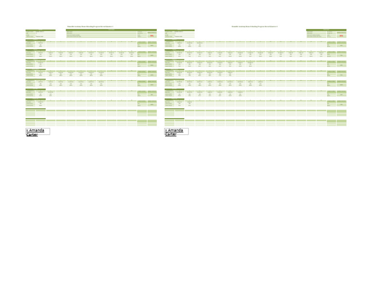 Homelife Academy Progress Record 2024 | PDF