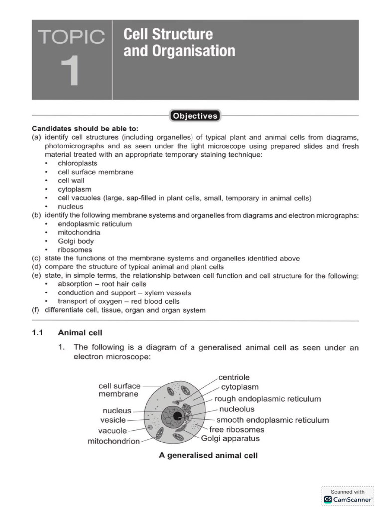 Biology | PDF