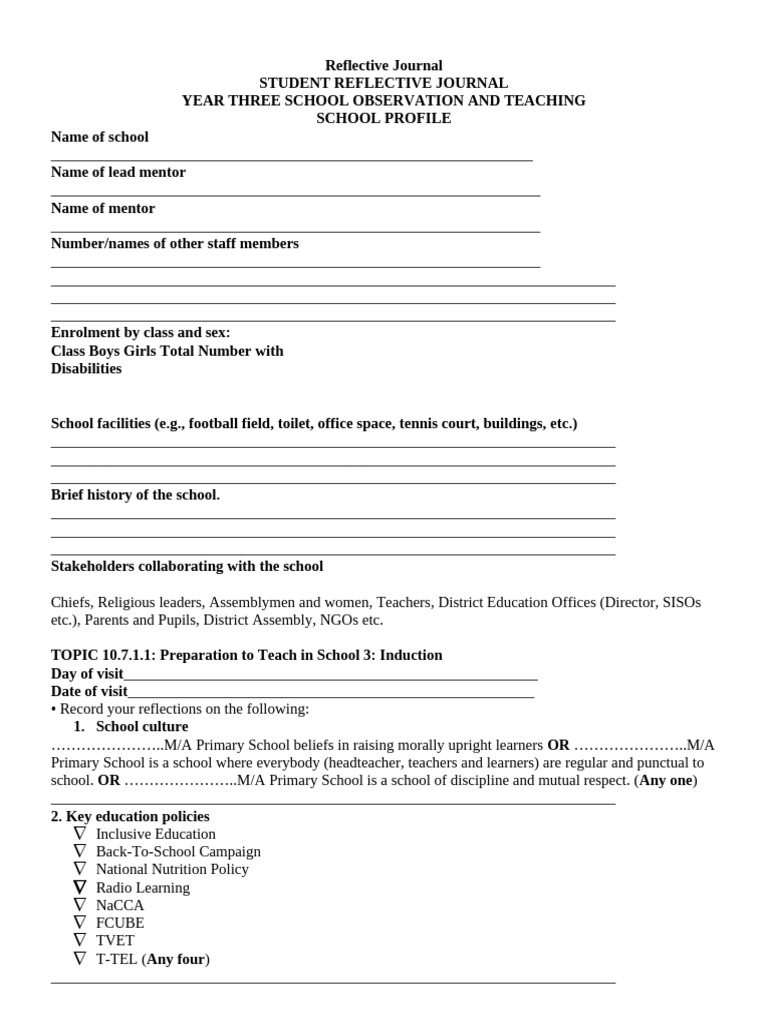 GESI Insights from Induction Reflection | PDF | Educational Technology ...