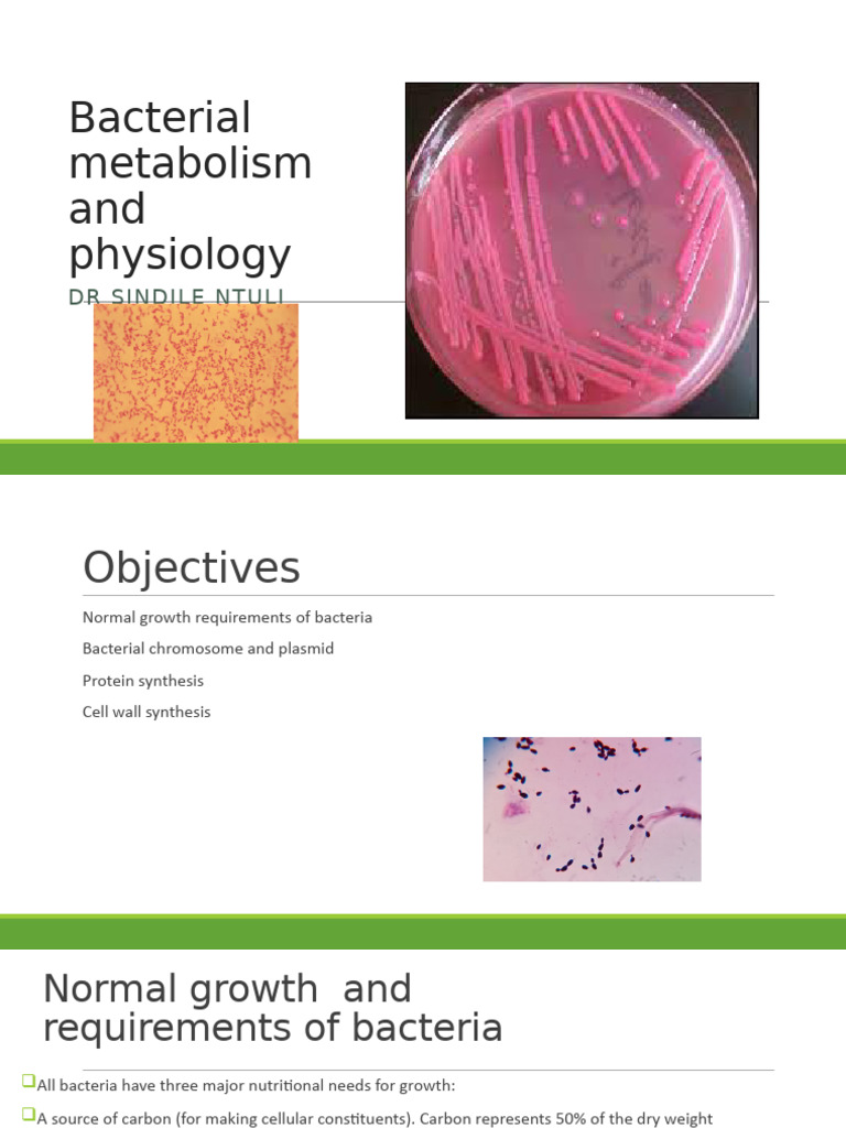 Bacterial Metabolism and Physiology | PDF | Translation (Biology ...
