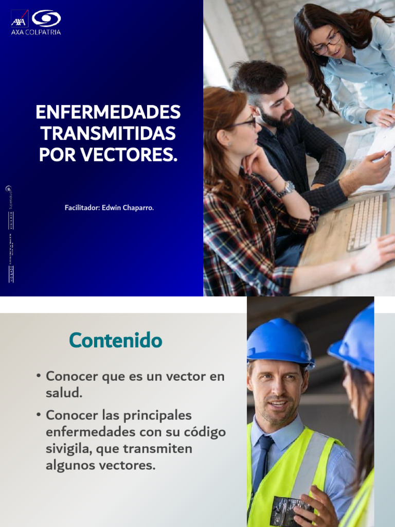 Enfermedades Transmitidas Por Vectores. | PDF | Rabia | Malaria
