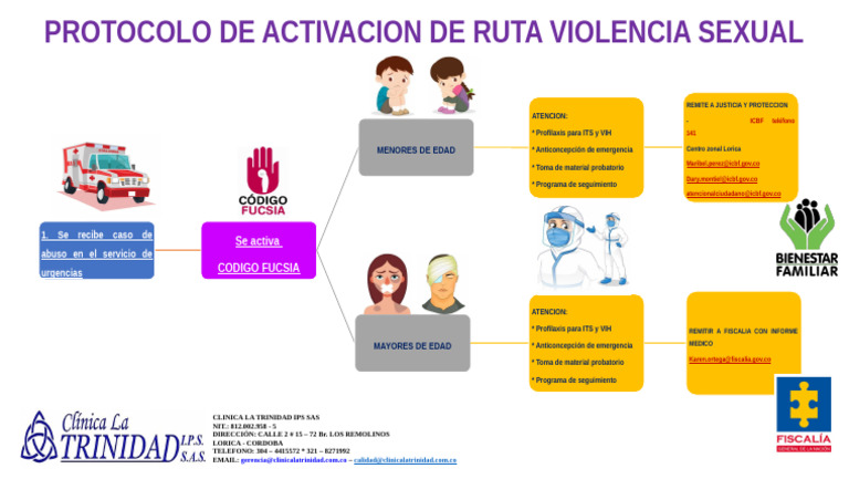 Activacion de Ruta Violencia Sexual (2) Clinica La Trinidad | PDF ...