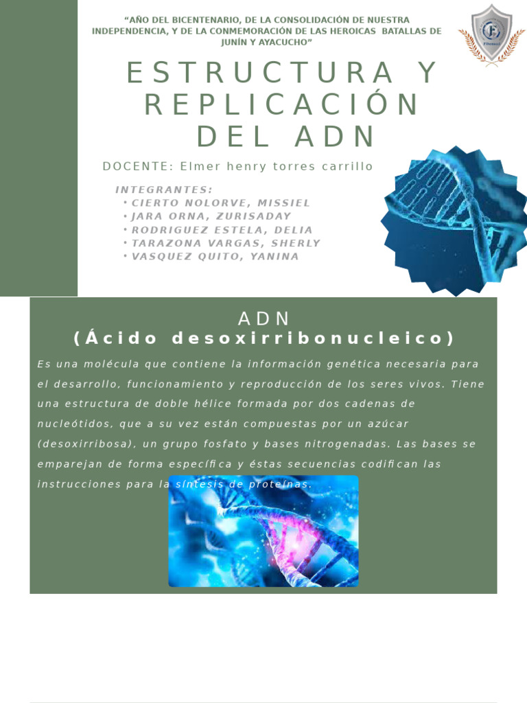 Estructura y replicación del ADN | PDF | Adn | Replicación De Adn