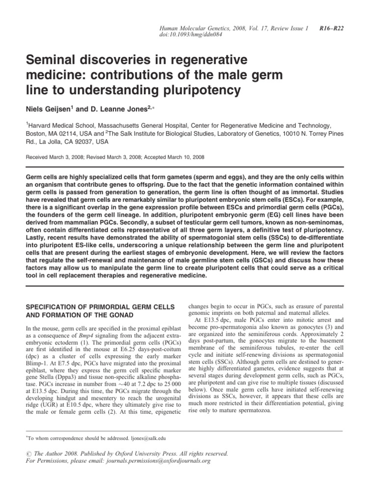 Germ Cells hmg/ddn084 | PDF | Cell Potency | Embryonic Stem Cell