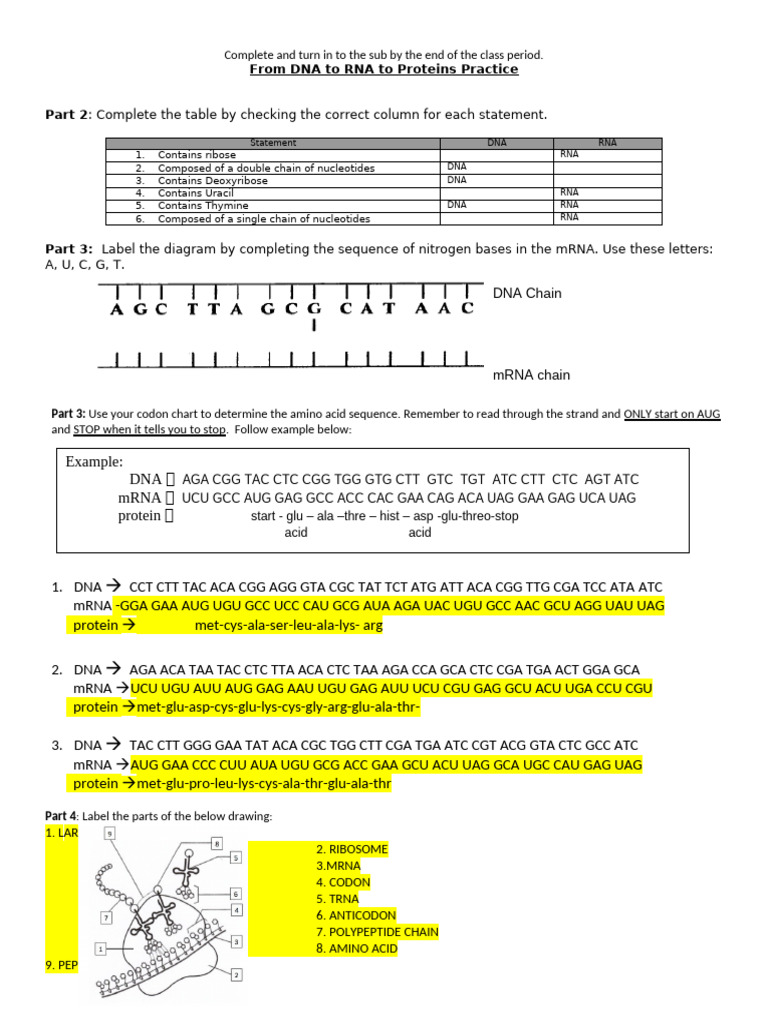 Unit 6 Practice-1 | PDF | Rna | Dna
