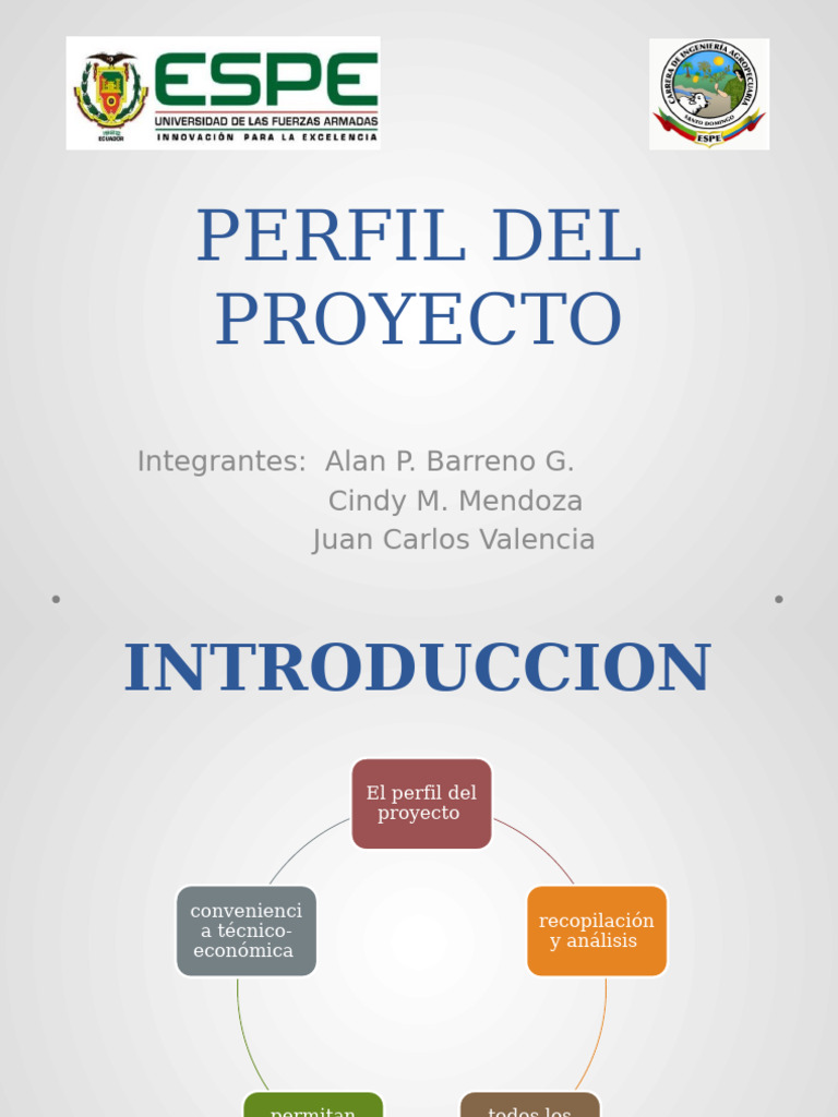Guía del Perfil de Proyecto: Análisis y Beneficios | PDF | Evaluación ...