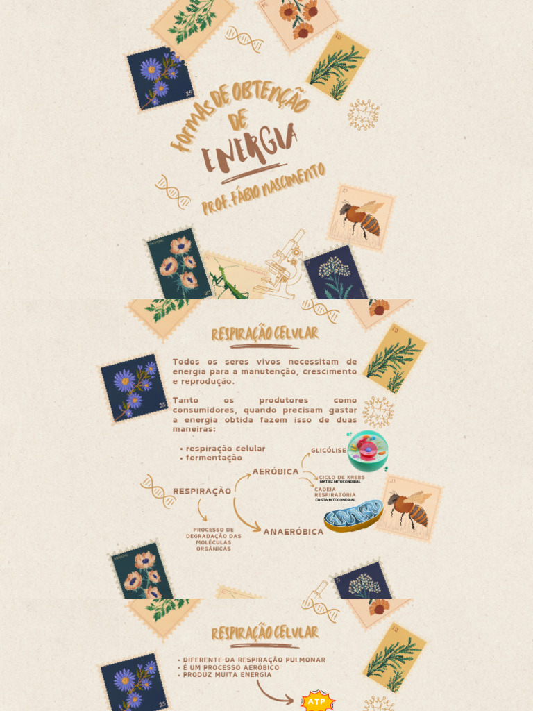 Respiração Celular - Glicólise | PDF