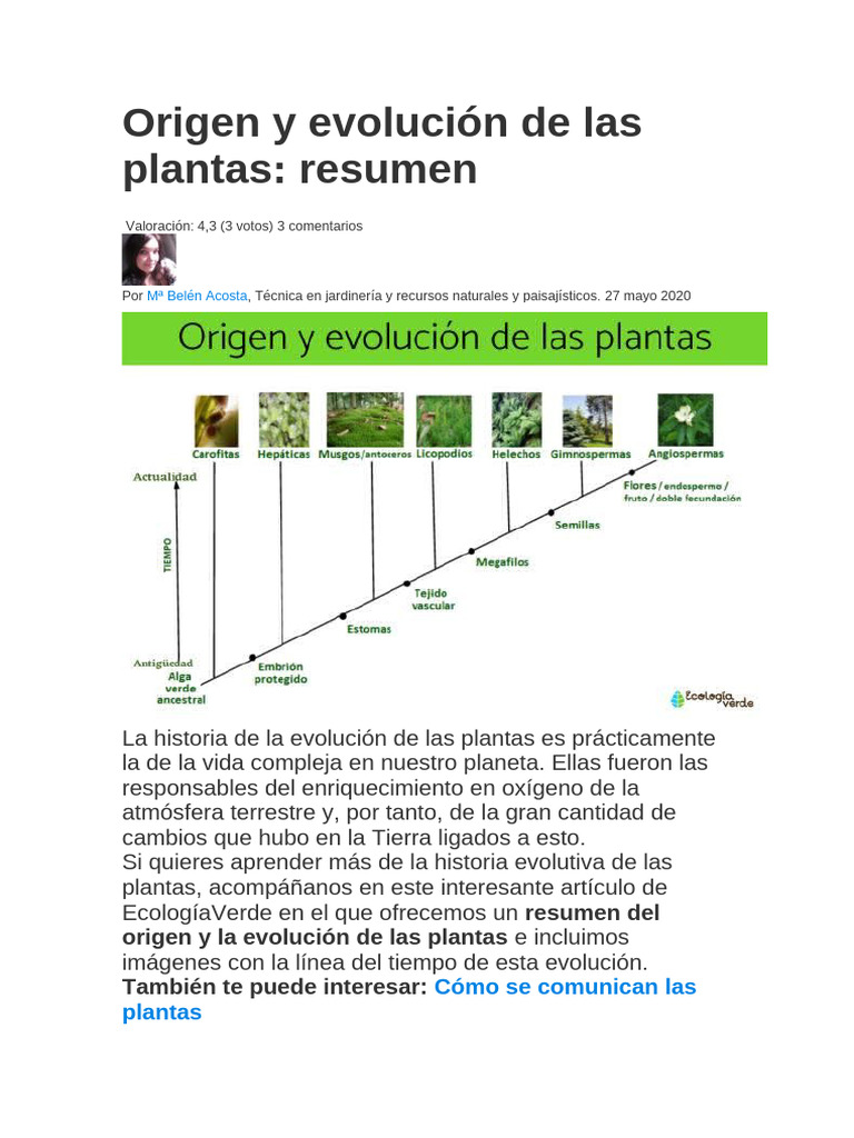 Origen y Evolución de Las Plantas (Botanica) | PDF | Plantas | Algas