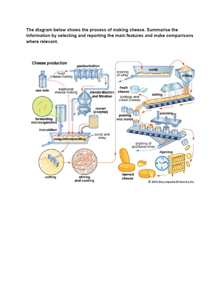 Cheese and Frozen Fish Pie Production Process | PDF