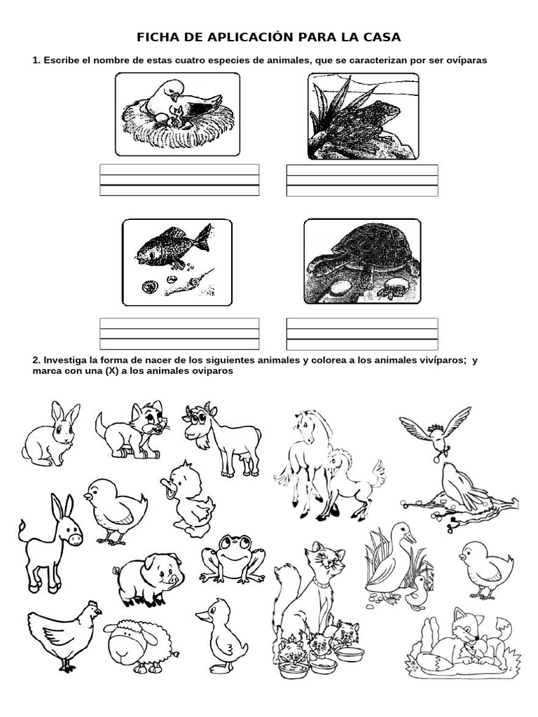 Ficha de aplicaci n para la casa pdf