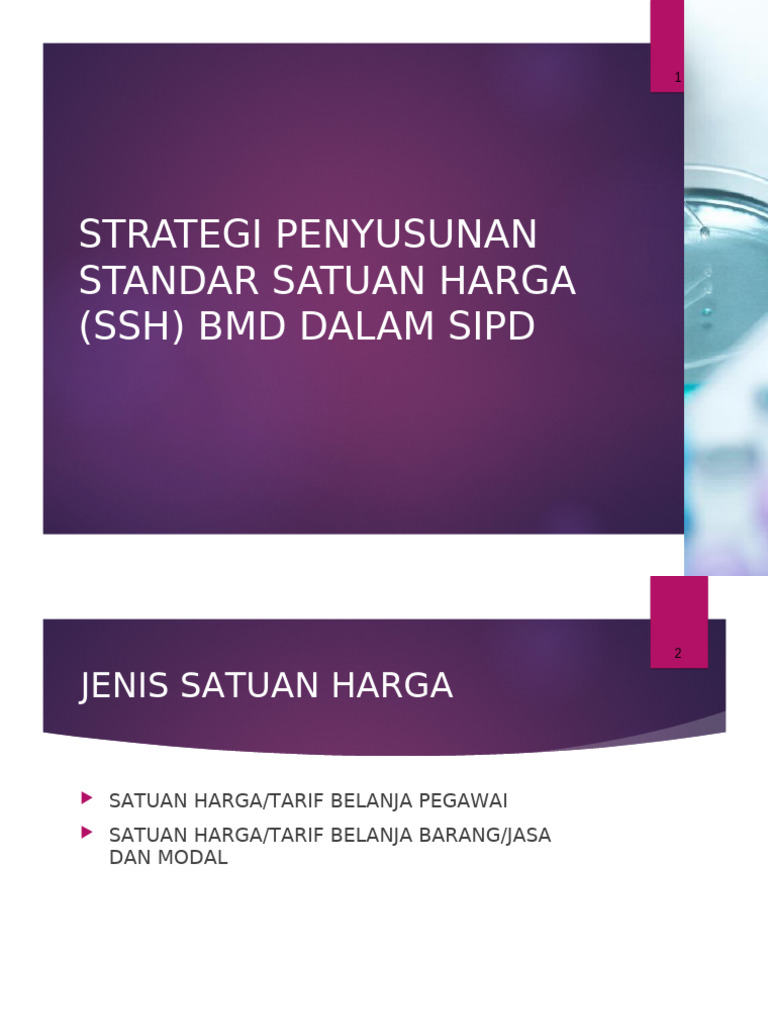 Strategi Penyusunan SSH dalam SIPD | PDF