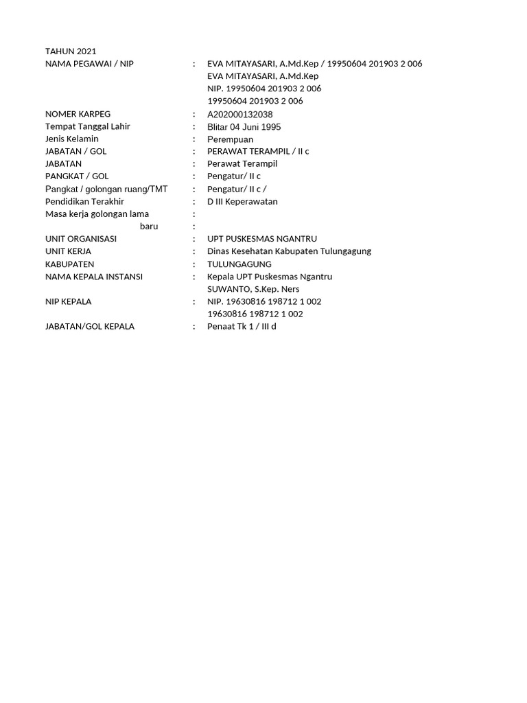 Perawat Terampil Permenpan 2021 | PDF