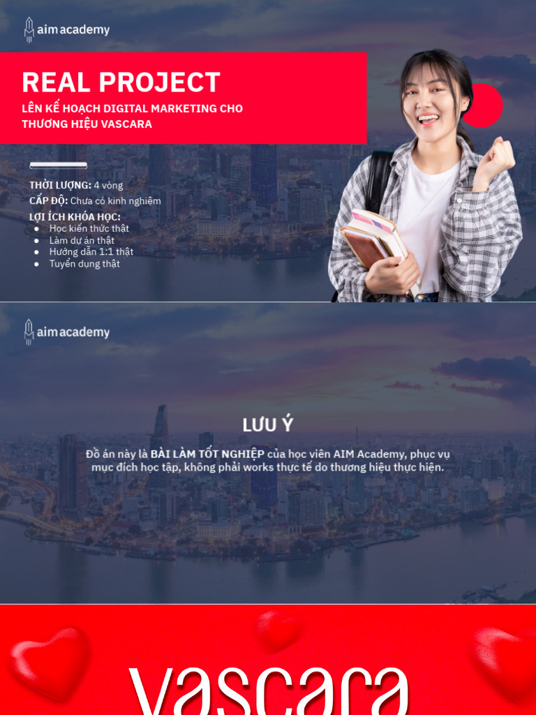 aim-real-project-digital-plan-vascara-pdf
