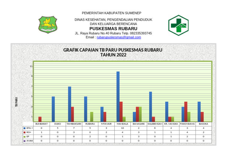 Capaian TB Paru Puskesmas Rubaru 2022 | PDF