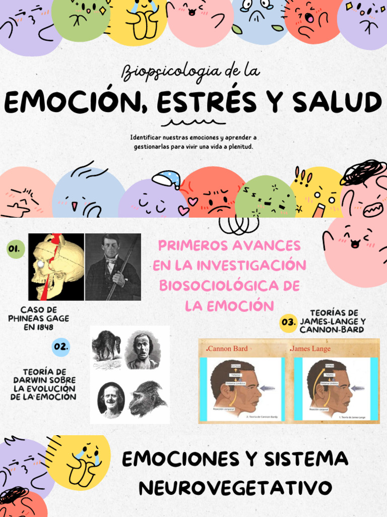 Biopsicologia de La Emocion, Estres y Salud | PDF | Las emociones ...
