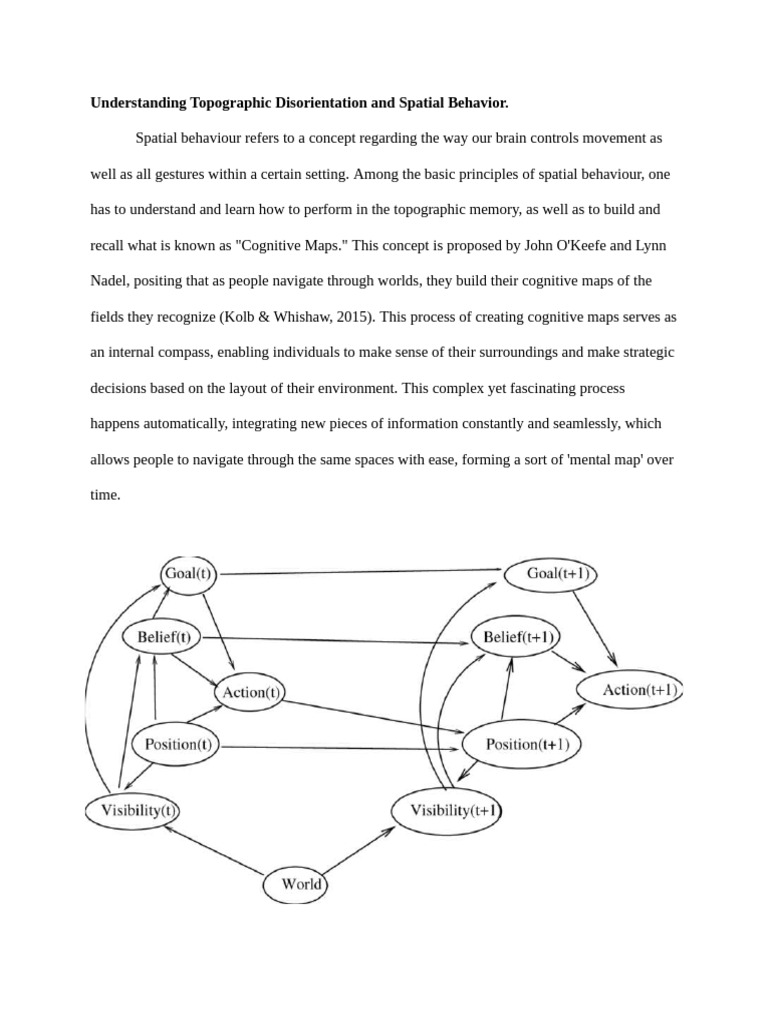 Spatial Behaviour | PDF | Hippocampus | Neuroscience