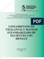Programa Dengue 2008