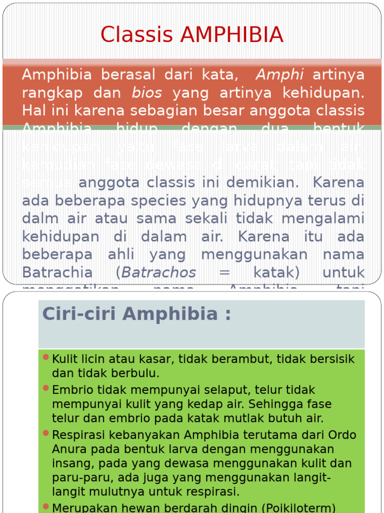 AMPHIBIA | PDF