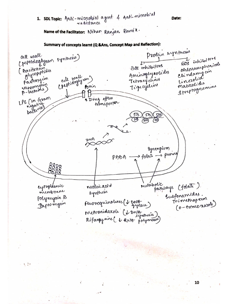 Microbiology Log Book | PDF