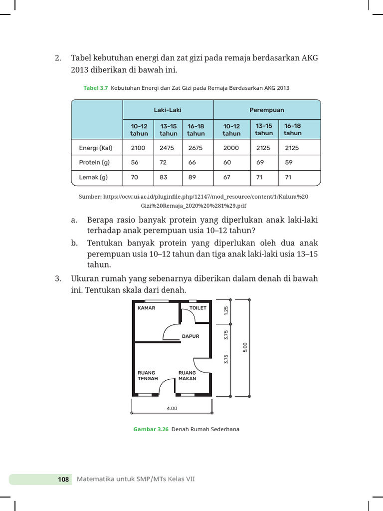 Rasio dan Kebutuhan Gizi Remaja | PDF