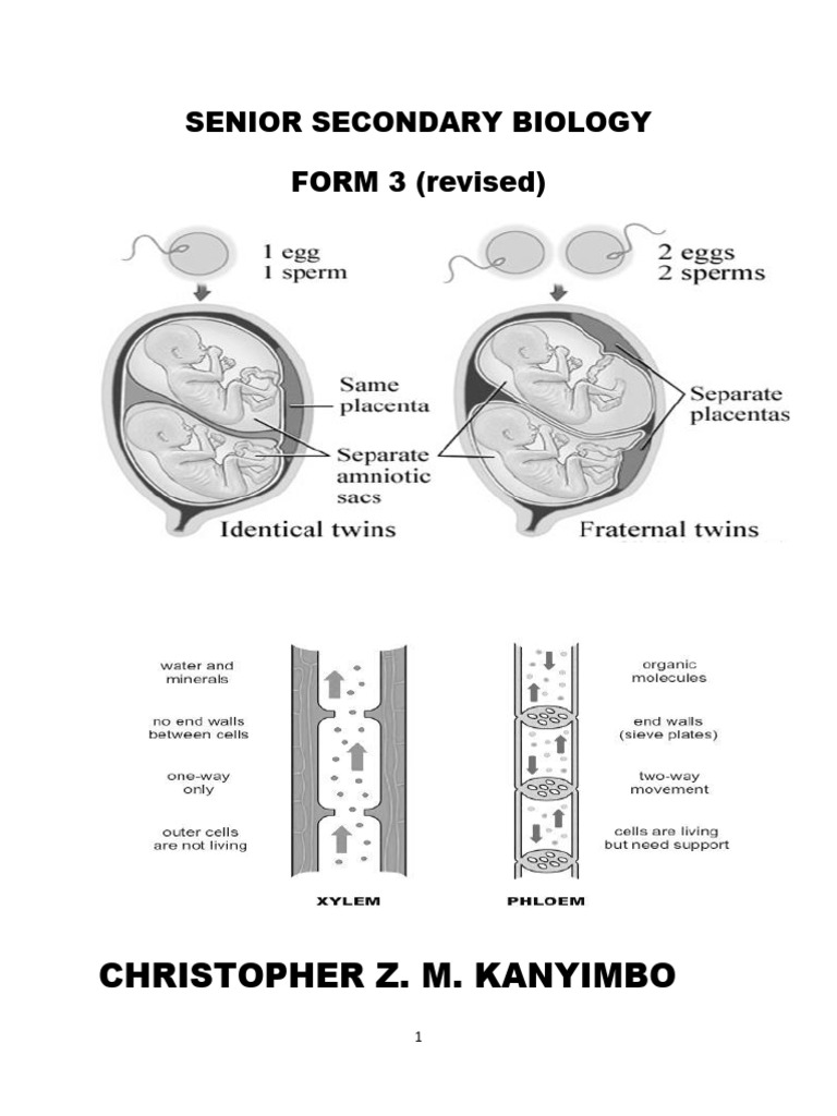 Senior Secondary Biology Guide | PDF | Food Web | Nitrogen