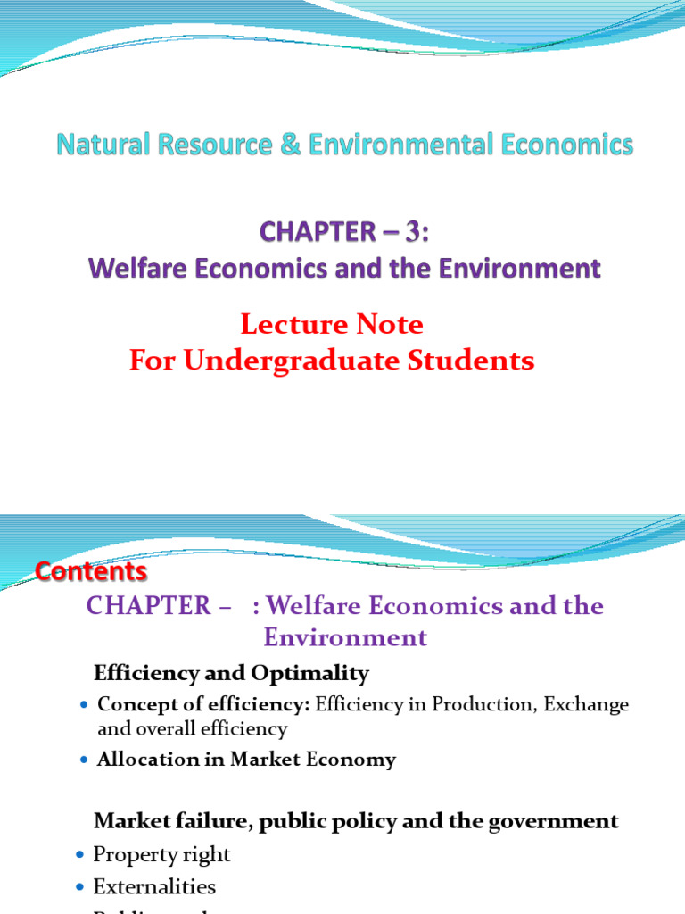 Welfare Economics and Environmental Efficiency | PDF | Externality ...