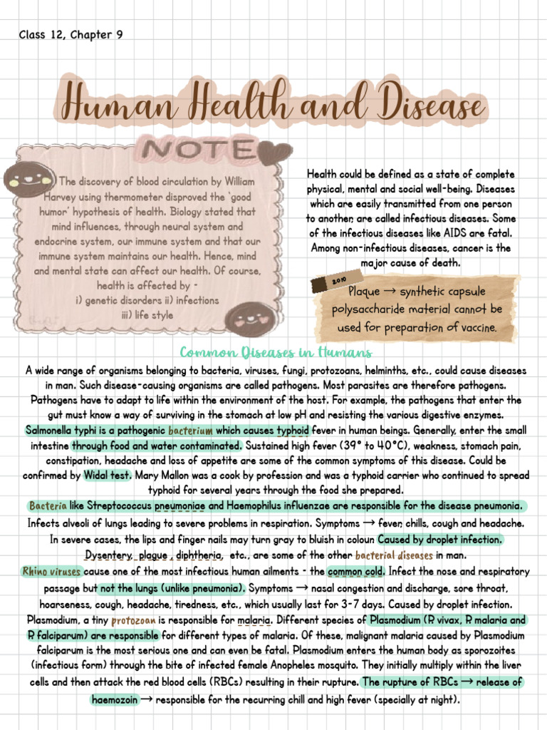 Human Health - Disease | PDF | Immune System | Lymphocyte