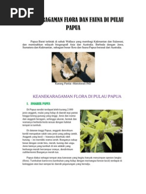 Unduh 93 Koleksi Gambar Flora Dan Fauna Di Pulau Papua Keren 