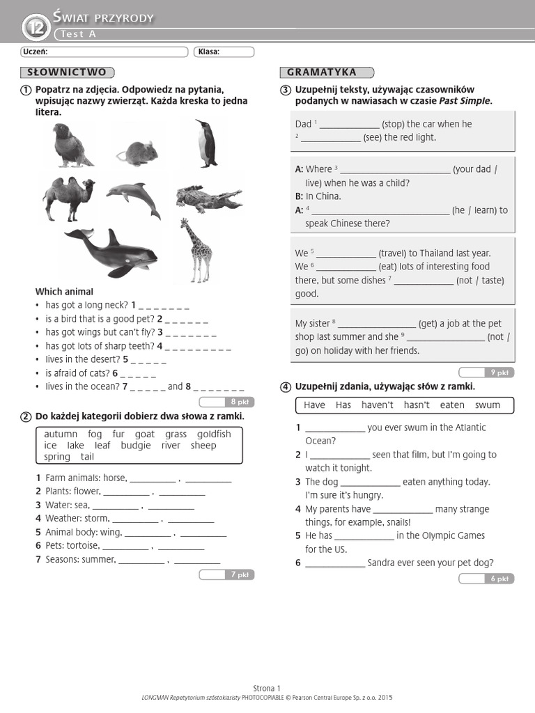 12 Test A | PDF