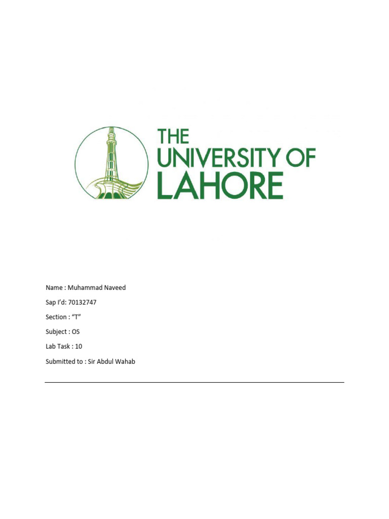 Os lab 10 task pdf