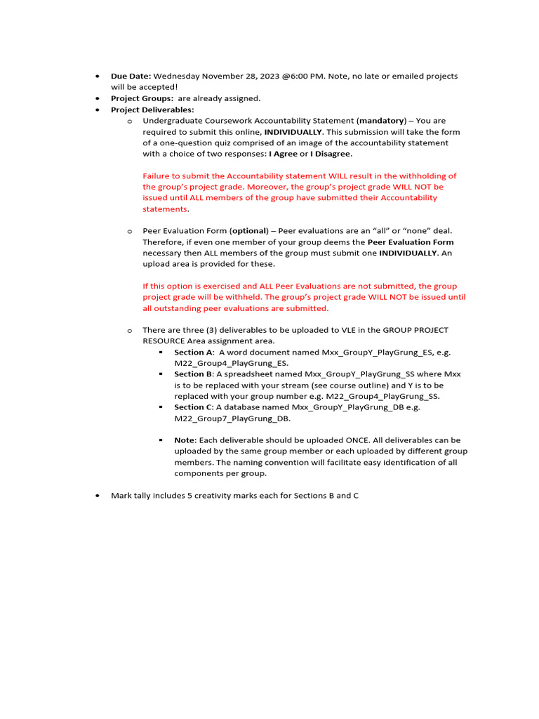 MGMT2004 Group Project Guidelines | PDF | Worksheet | Computing