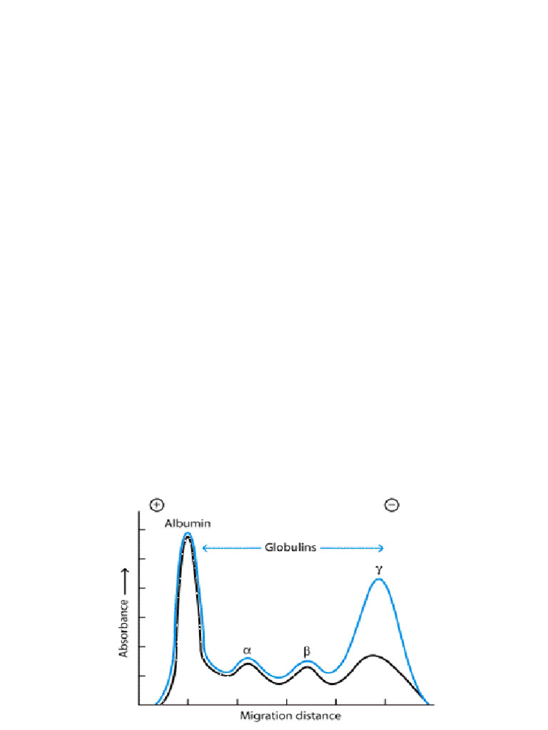 Mastering Antibody Labeling A Comprehensive Overview - 02ogw90