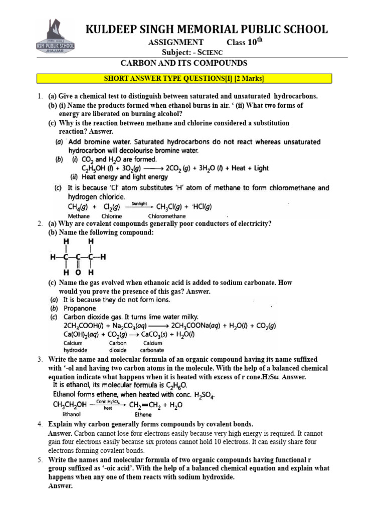 Class 10 Carbon Compounds Assignment | PDF | Acid | Acetic Acid