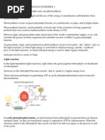 Photosynthesis