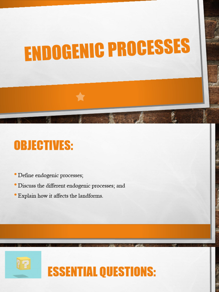 Endogenic Processes | PDF | Igneous Rock | Earthquakes