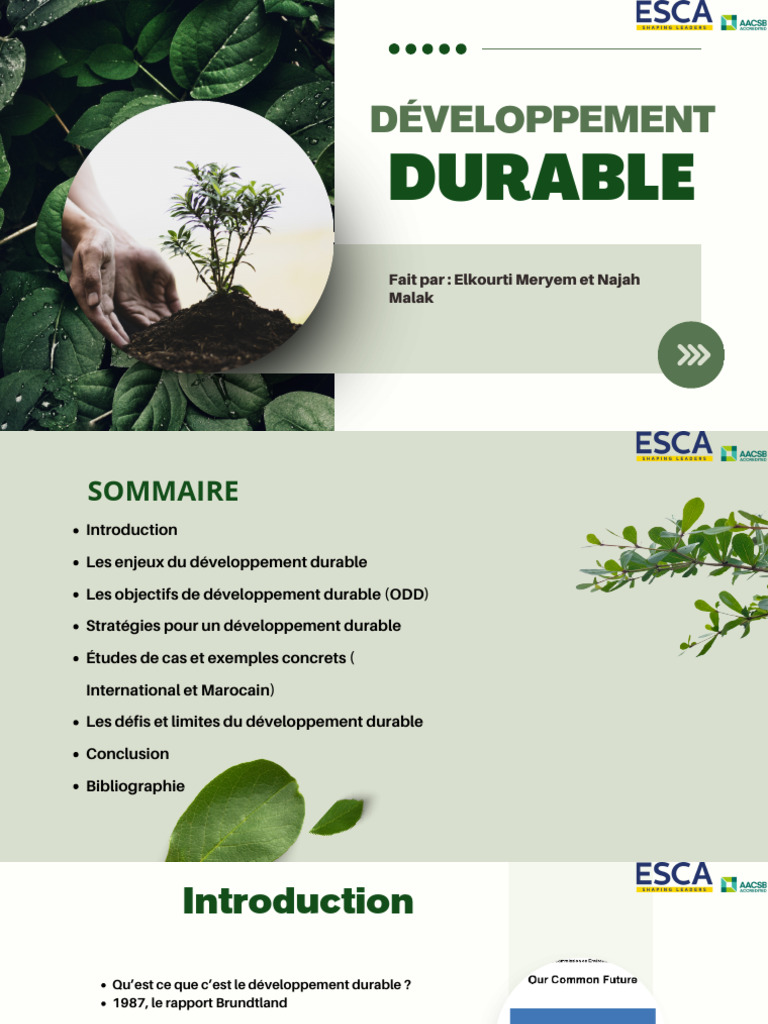 Développement Durable : Enjeux et Stratégies | PDF | Développement ...