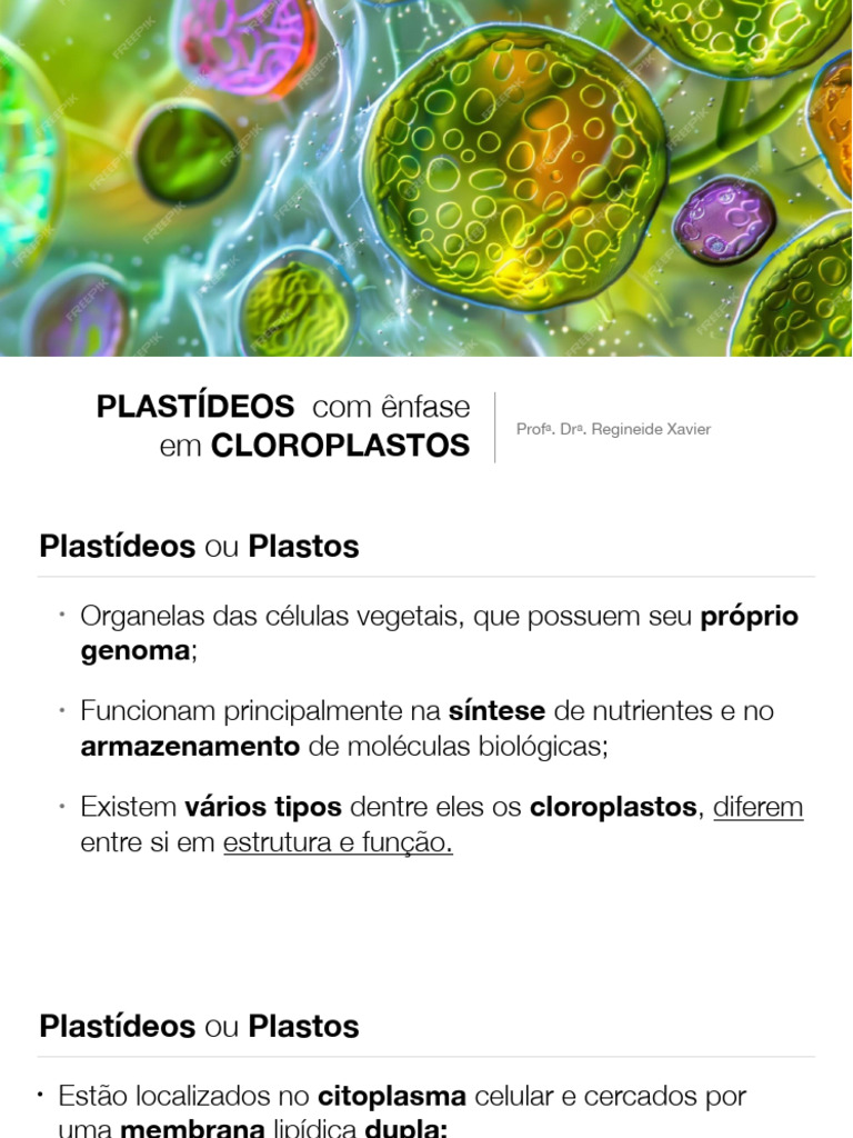 Funções e Estrutura dos Cloroplastos | PDF | Cloroplastos | Célula ...